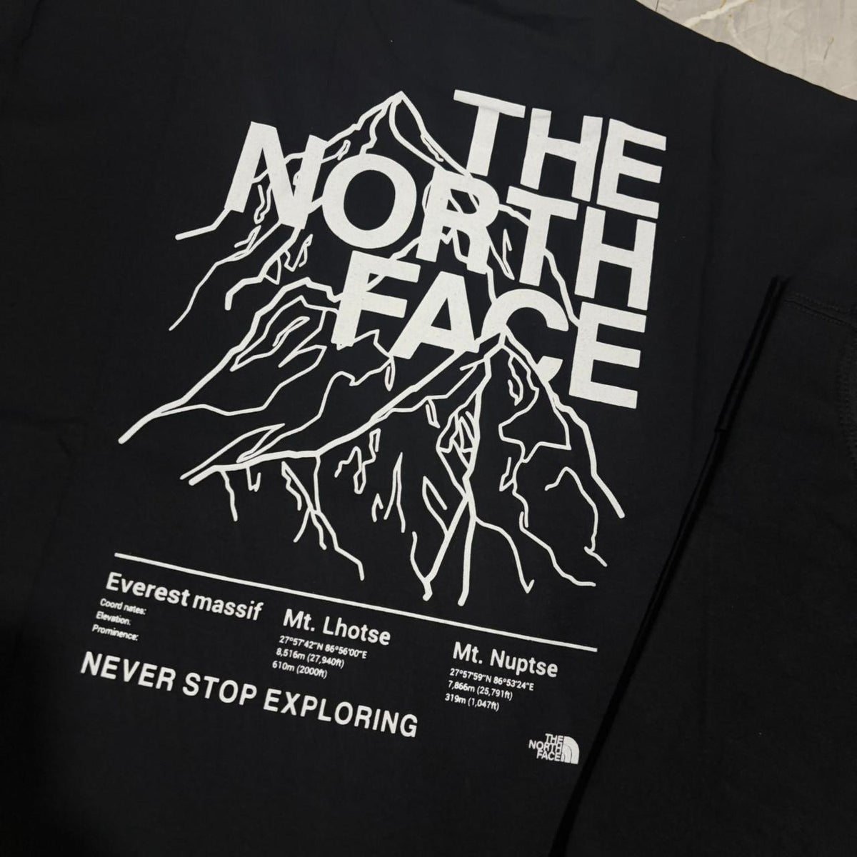 Camiseta Grife The North Face Preta com Estampa Traseira de Montanhas Brancas