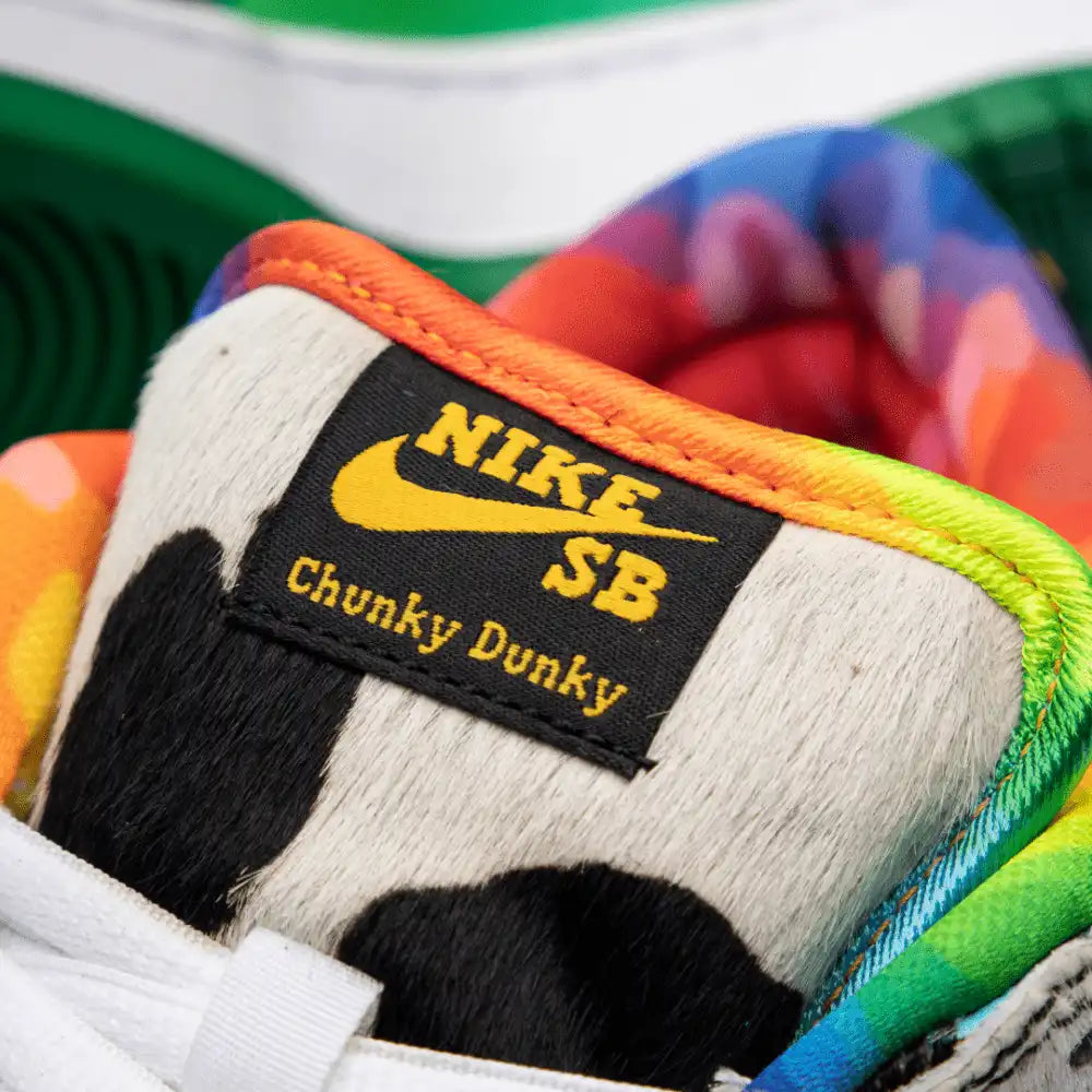 Nike Dunk Low Ben & Jerry